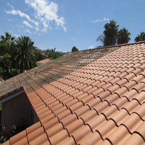 Roof Cleaning Service