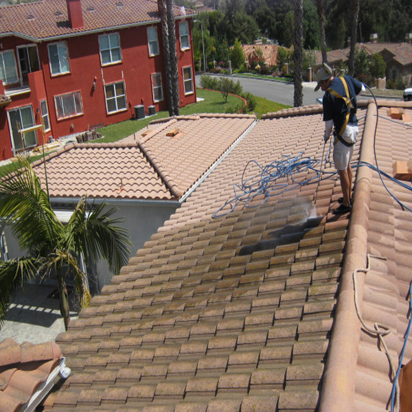 Roof Cleaning Technician