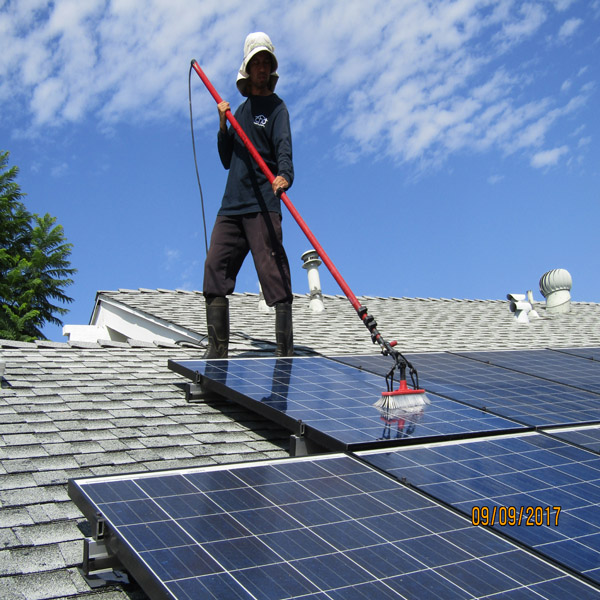 Solar Panel Cleaning